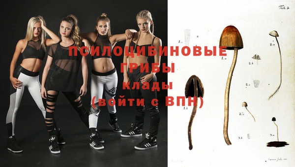 мяу мяу мука Абинск