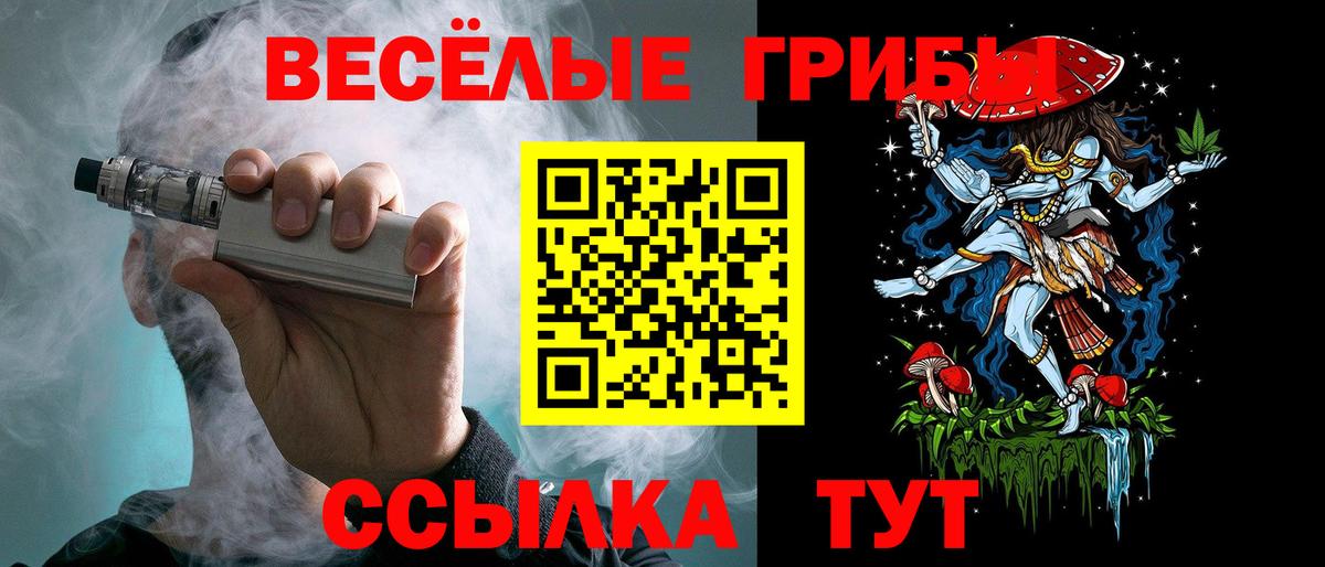 Шумерля  Псилоцибиновые грибы Psilocybine cubensis  Вход с VPN 